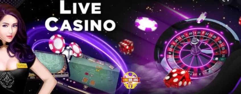 Dịch vụ Live Casino